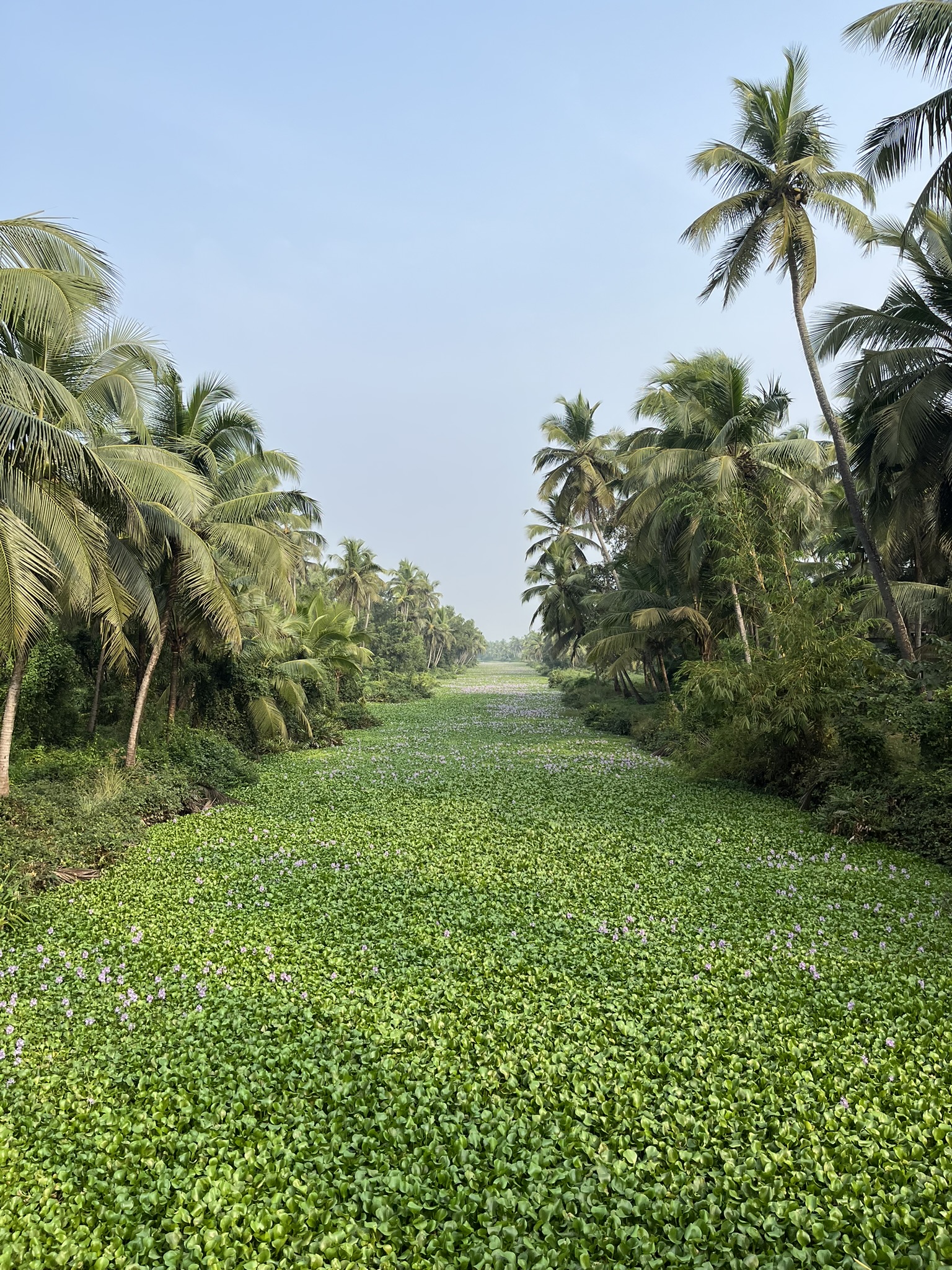 Une cure ayurvédique au Kerala