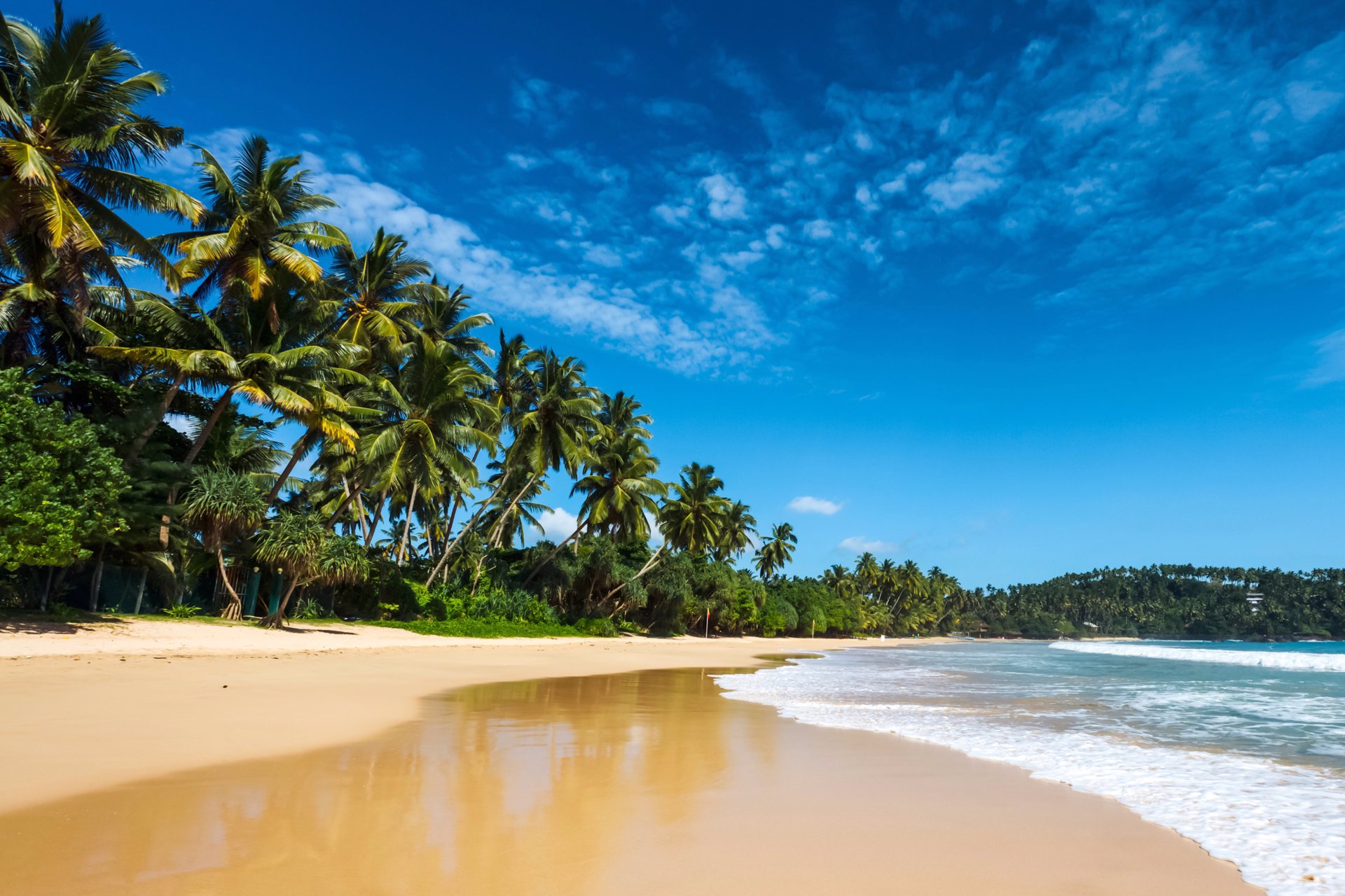 Une cure au Sri Lanka